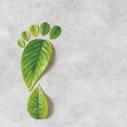 Best Environmentally Friendly Socks